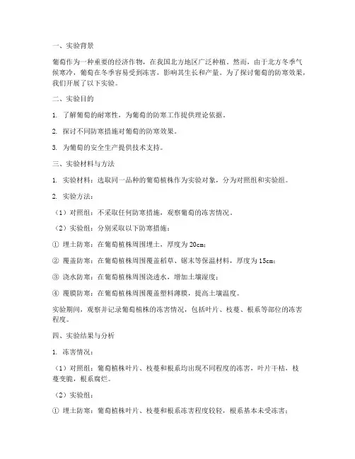 葡萄的防寒实验报告