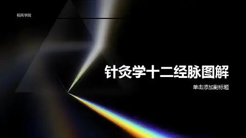 针灸学十二经脉图解