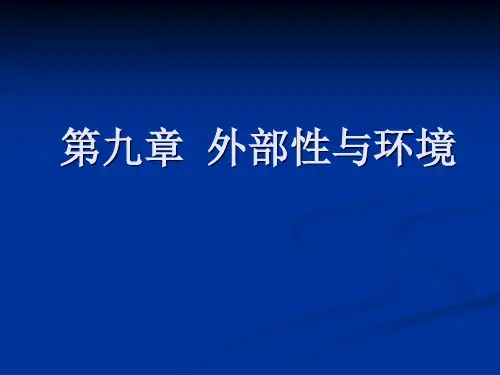 9外部性与环境
