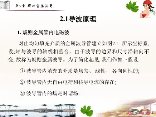 第2章微波技术与天线