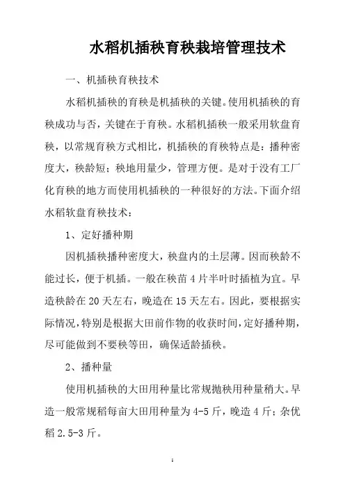 水稻机插秧育秧栽培管理技术