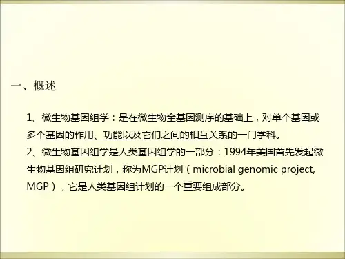 微生物基因组学_PPT幻灯片