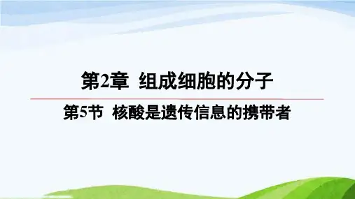 第二章第5节核酸是遗传信息的携带者高中生物必修一人教版