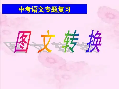 中考图文转换专题复习总结(1-17)题