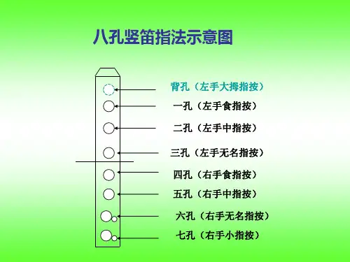 竖笛八孔指法教程.