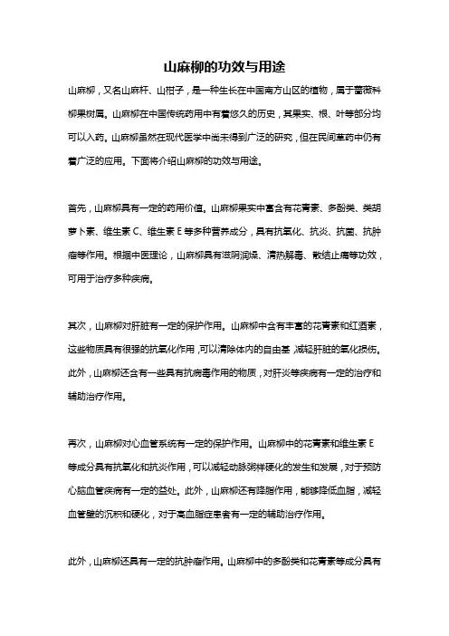 山麻柳的功效与用途