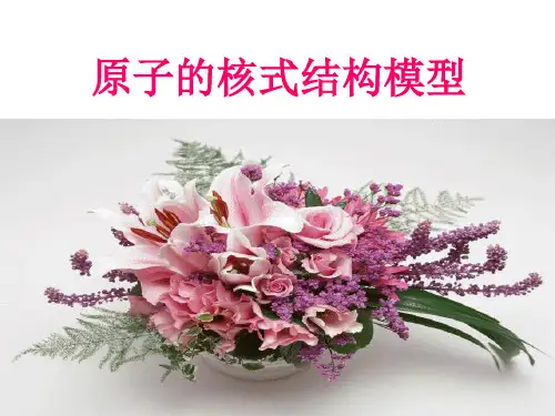 原子的核式结构模型(课件)