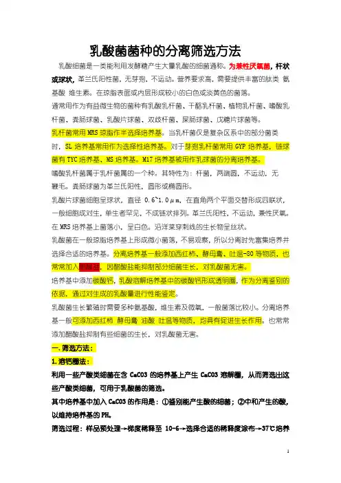 乳酸菌菌种的分离筛选方法