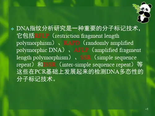 分子标记技术PPT课件