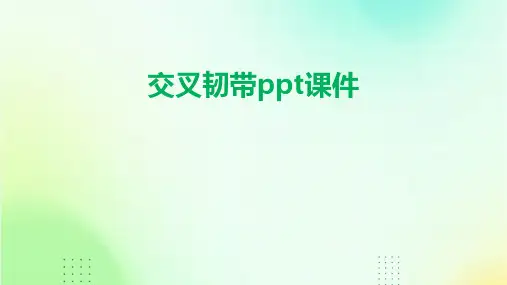 交叉韧带PPT课件