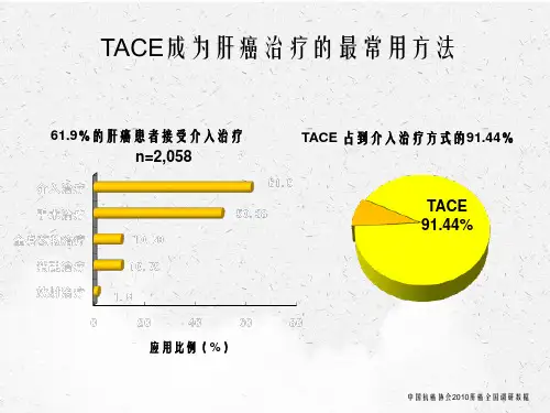 终末期肝癌的抗癌治疗