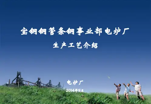 宝钢股份电炉工艺(201409)