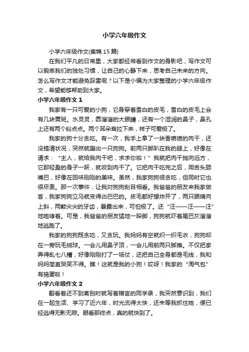 小学六年级作文（集锦15篇）