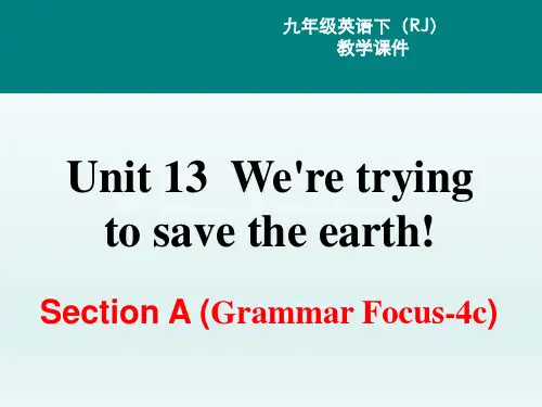人教新目标九年级下册英语课件Unit13SectionAGrammarFocus4c