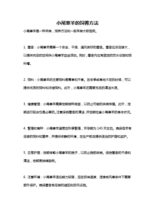 小尾寒羊的饲养方法