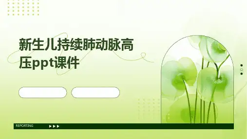 新生儿持续肺动脉高压ppt课件