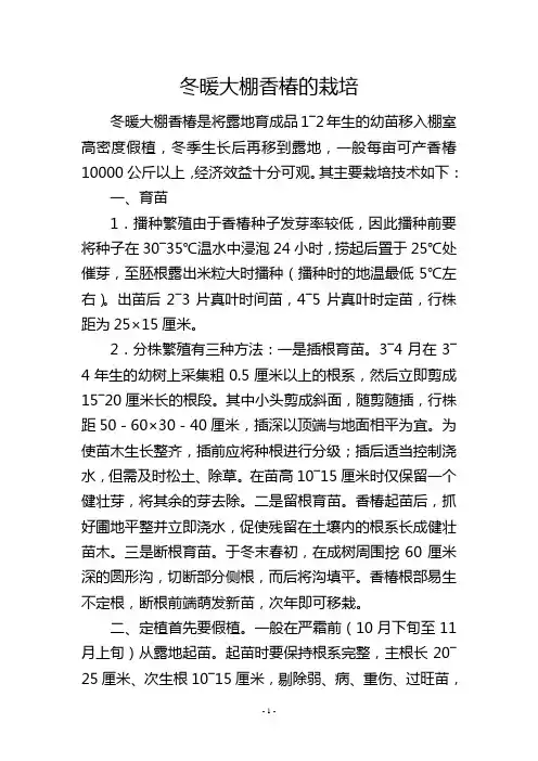 冬暖大棚香椿的栽培