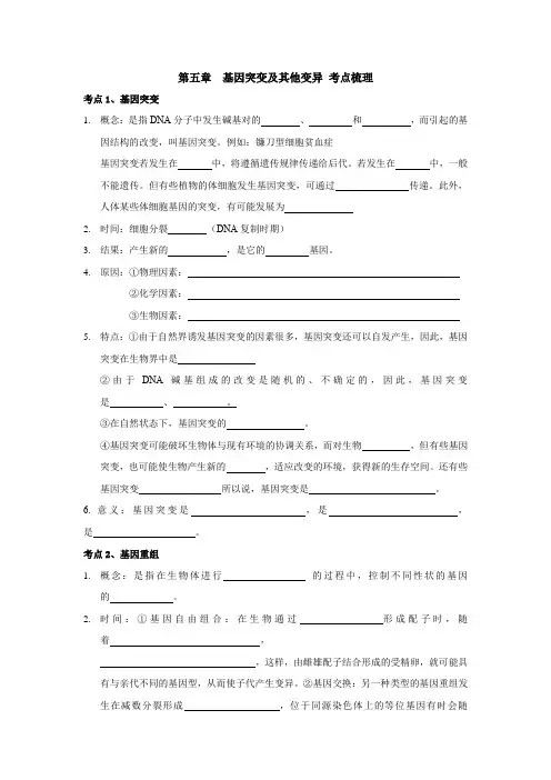 第五章 基因突变及其他变异 考点梳理