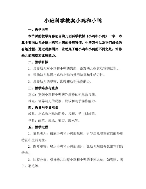 小班科学教案小鸡和小鸭