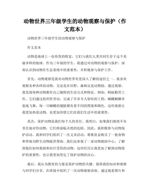 动物世界三年级学生的动物观察与保护(作文范本)
