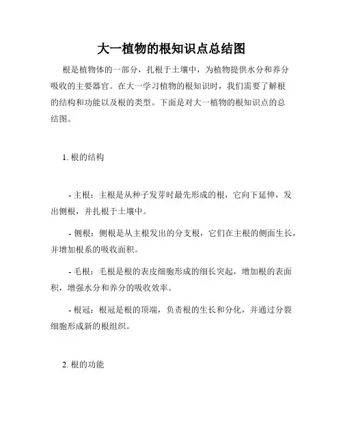 大一植物的根知识点总结图