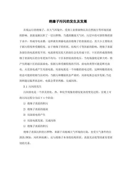 绝缘子污闪的发生及发展