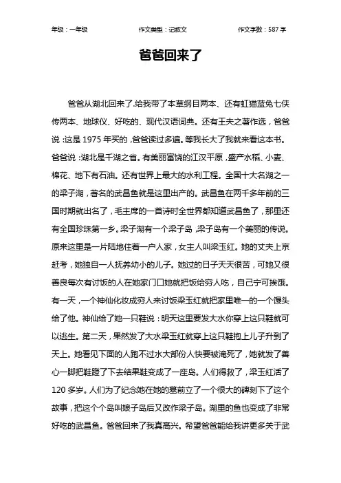 爸爸回来了作文【小学一年级600字】