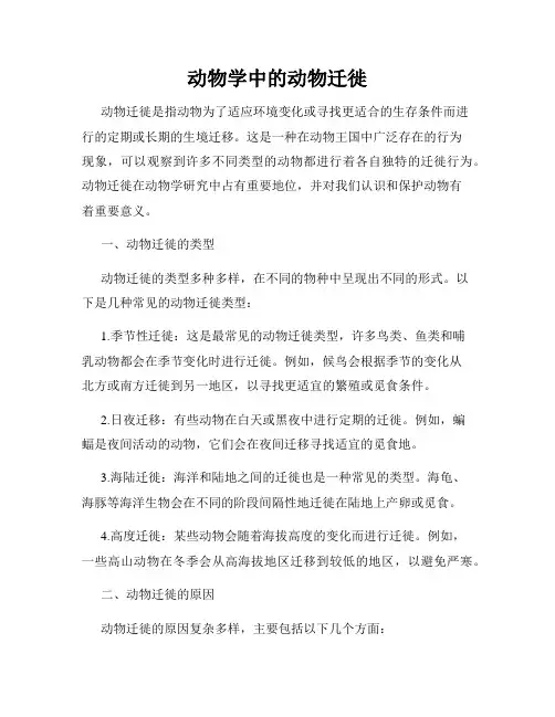 动物学中的动物迁徙