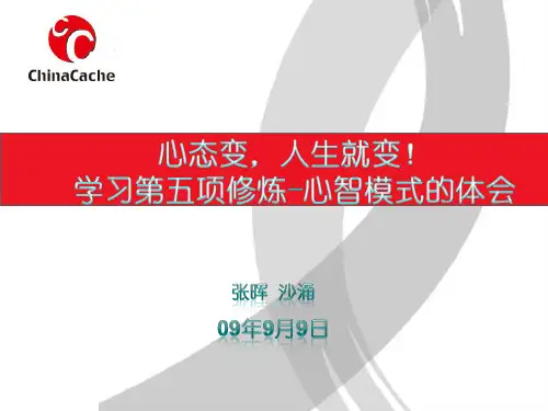 第五项修炼-心智模式-2003