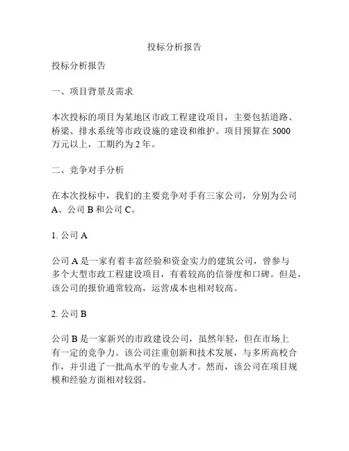 投标分析报告