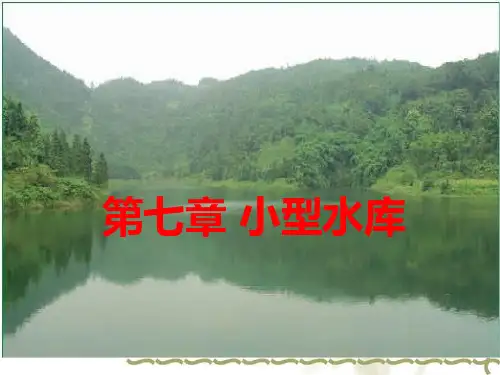 7 小型水库