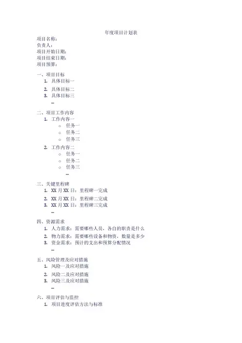 年度项目计划表