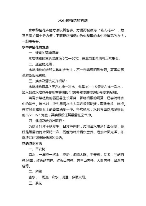 水中种植花的方法