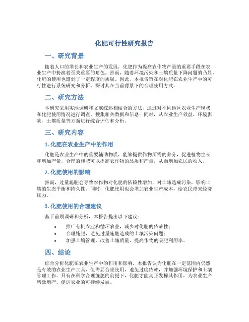 化肥可行性研究报告