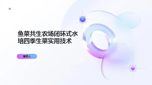 鱼菜共生农场闭环式水培四季生菜实用技术