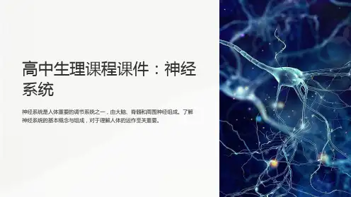 《高中生理课程课件：神经系统》