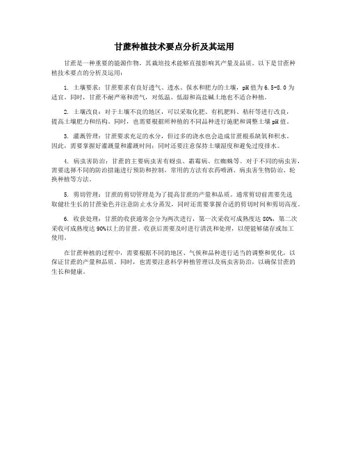 甘蔗种植技术要点分析及其运用