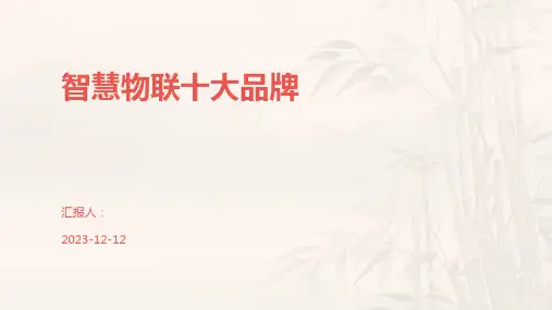 智慧物联十大品牌
