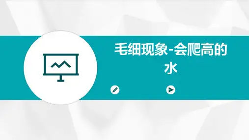 毛细现象-会爬高的水JKY