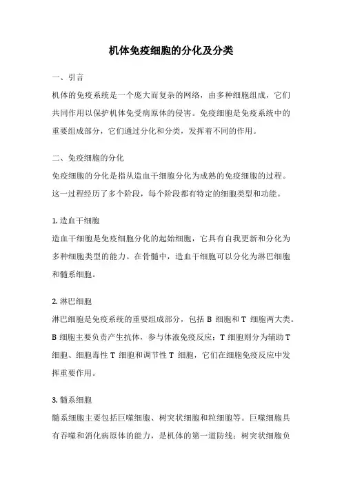 机体免疫细胞的分化及分类
