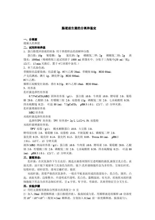 实验方案
