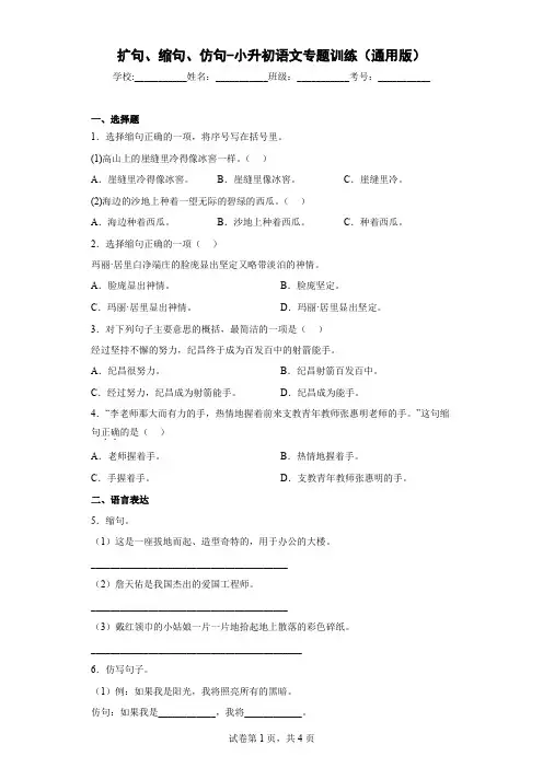 扩句、缩句、仿句-小升初语文专题训练(通用版)
