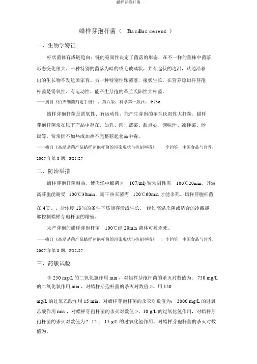蜡样芽孢杆菌