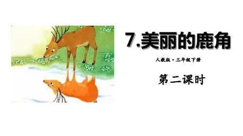 《美丽的鹿角》语文教学PPT课件(5篇)