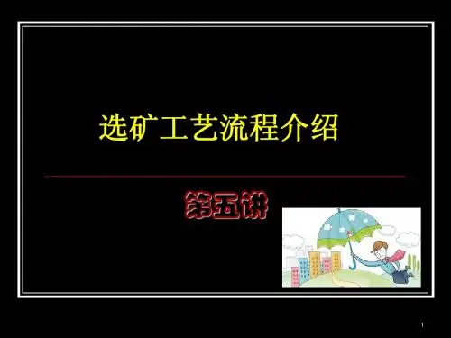 第五讲选矿工艺流程介绍