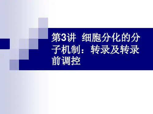 第三讲 转录及转录前调控