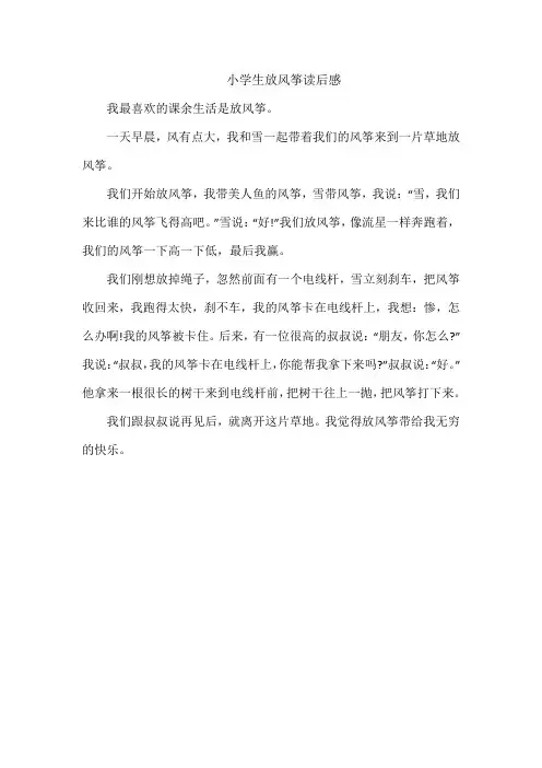 小学生放风筝读后感