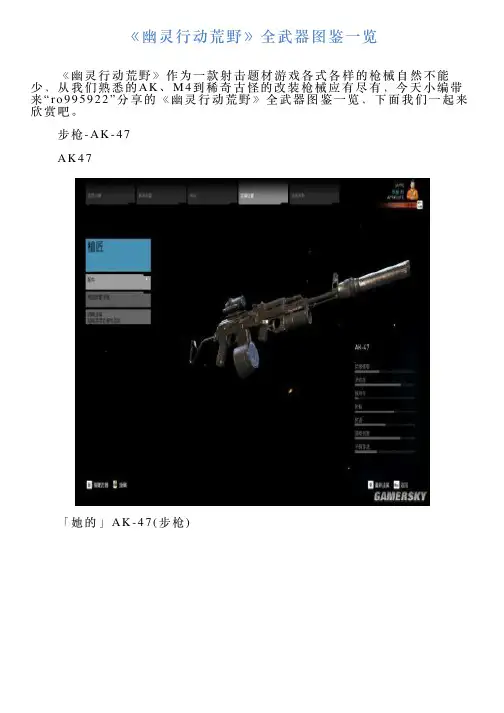 《幽灵行动荒野》全武器图鉴一览
