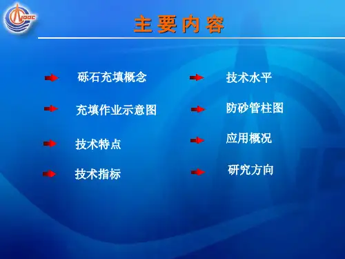 砾石充填技术(3)