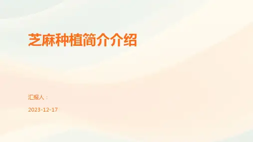 芝麻种植简介介绍